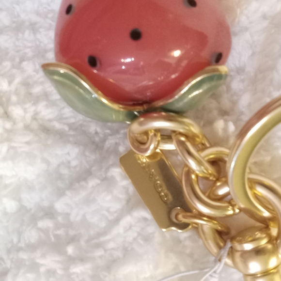 CoachX Strawberry Keychain/Bagtag - Picture 4 of 8